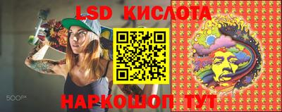 шишки Новокубанск
